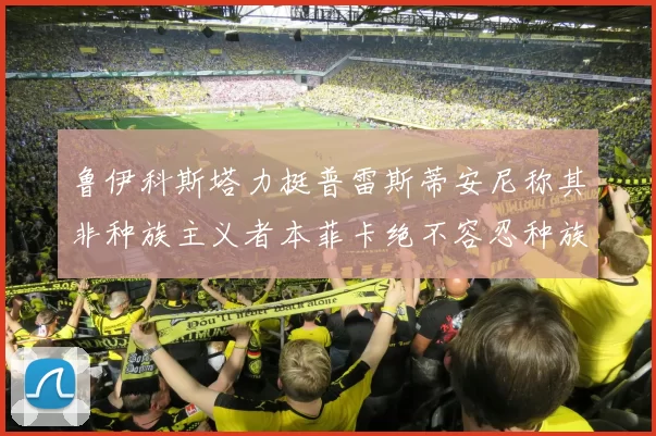 鲁伊科斯塔力挺普雷斯蒂安尼称其非种族主义者本菲卡绝不容忍种族歧视